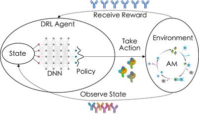 Moving the needle: Employing deep reinforcement learning to push the boundaries of coarse-grained vaccine models